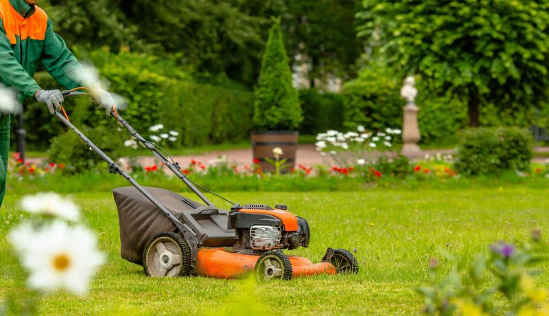 Spring Lawn Clean Up