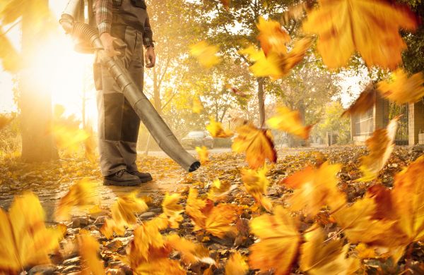 Leaf Blowing Service in Franklin
