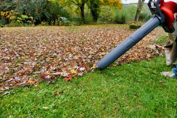 Leaf Vacuuming Service in Franklin
