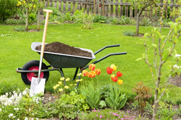 Spring Yard Cleanup in Franklin