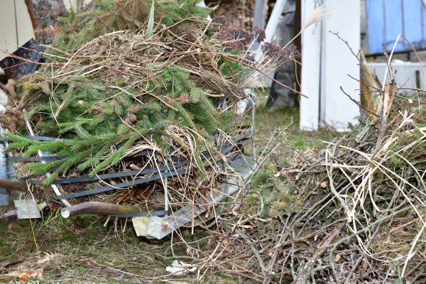 Yard Waste Removal Service in Franklin