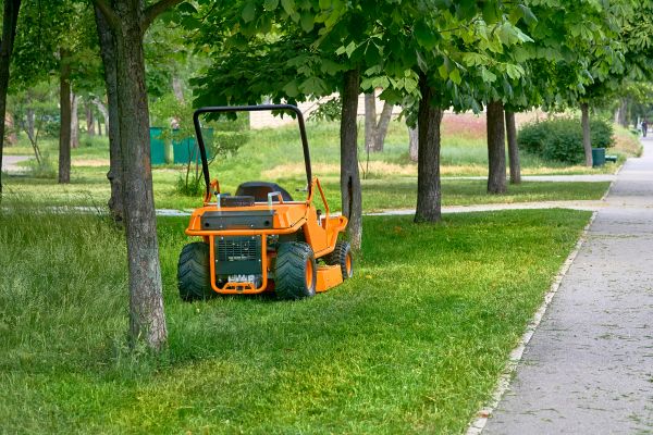 Landscaping Cleanup Service in Franklin