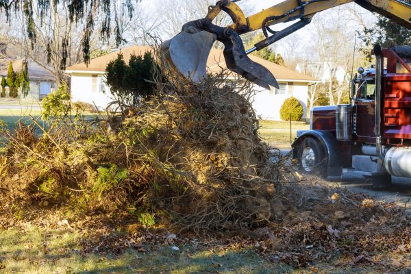 Storm Debris Removal in Franklin