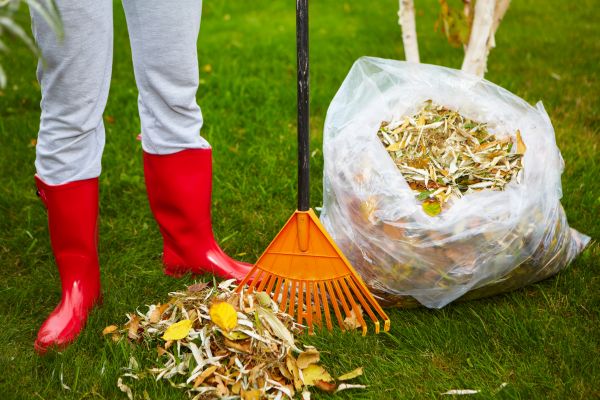 Leaf Disposal Service in Franklin