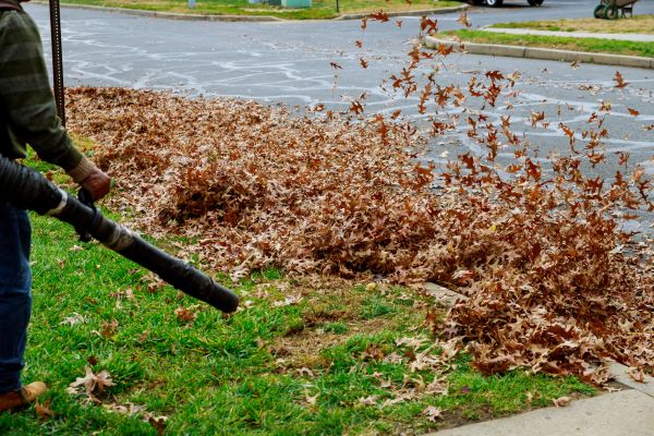 Garden Leaf Removal in Franklin