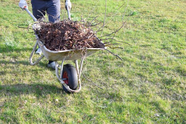Yard Brush Removal in Franklin