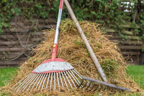 Pine Straw Clearing in Franklin