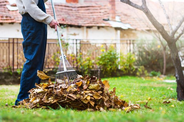 Spring Lawn Cleanup in Franklin