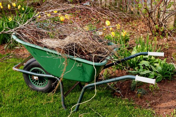 Lawn Waste Removal in Franklin