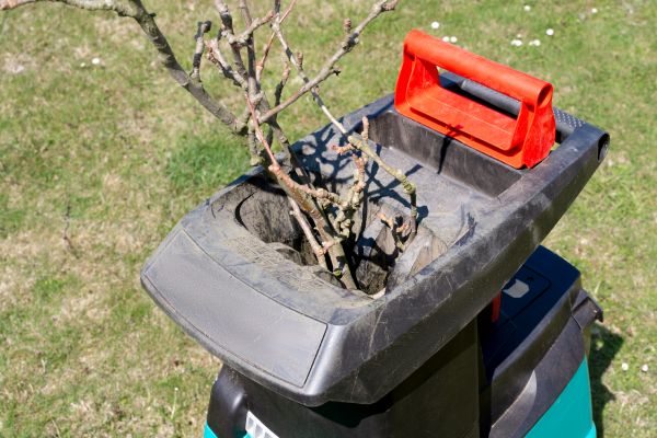 Cost of Brush Cleanup Service in Franklin