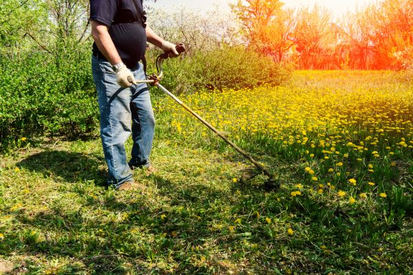 Yard Clearing Service in Franklin