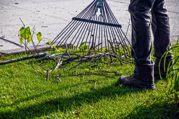 Yard Debris Cleanup in Franklin