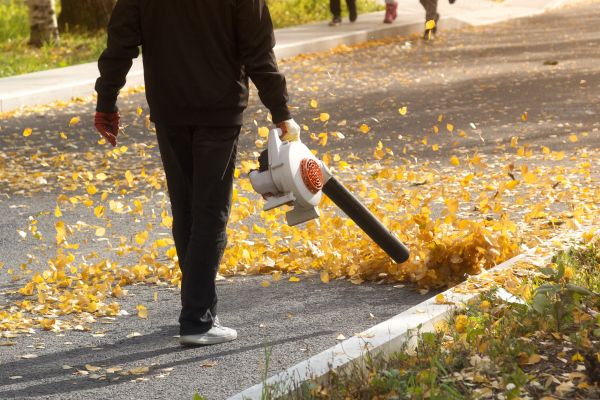Commercial Leaf Removal in Franklin